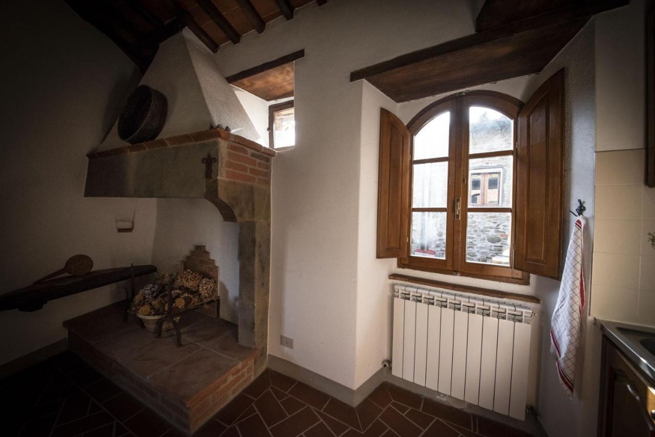 Apartament Casa Selvolini - Volpaia Radda in Chianti Zewnętrze zdjęcie
