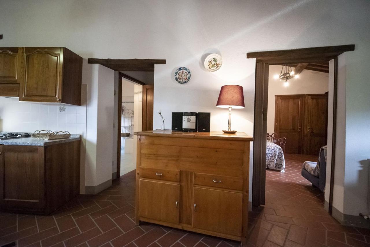 Apartament Casa Selvolini - Volpaia Radda in Chianti Zewnętrze zdjęcie